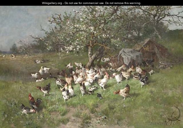 Printemps, poules sous le pommier en fleurs - Alexandre Defaux