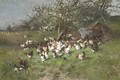 Printemps, poules sous le pommier en fleurs - Alexandre Defaux
