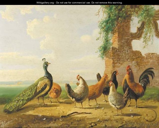 Poultry by ruined walls 2 - Albertus Verhoesen