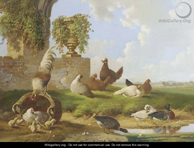 Poultry and ducks by a ruin - Albertus Verhoesen