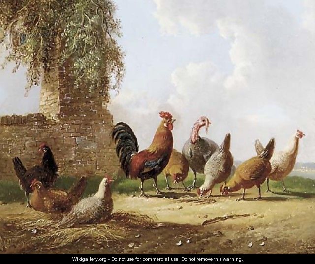 Feathered friends - Albertus Verhoesen