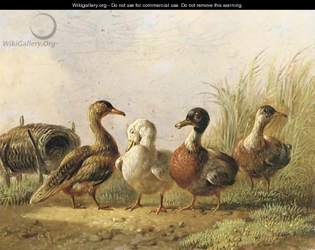 Ducks - Albertus Verhoesen