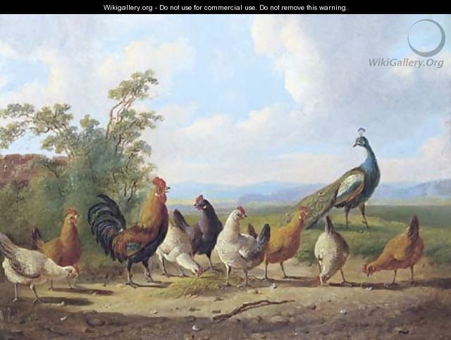 Cheerful chickens - Albertus Verhoesen