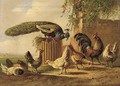 A peacock and poultry in a farmyard - Albertus Verhoesen