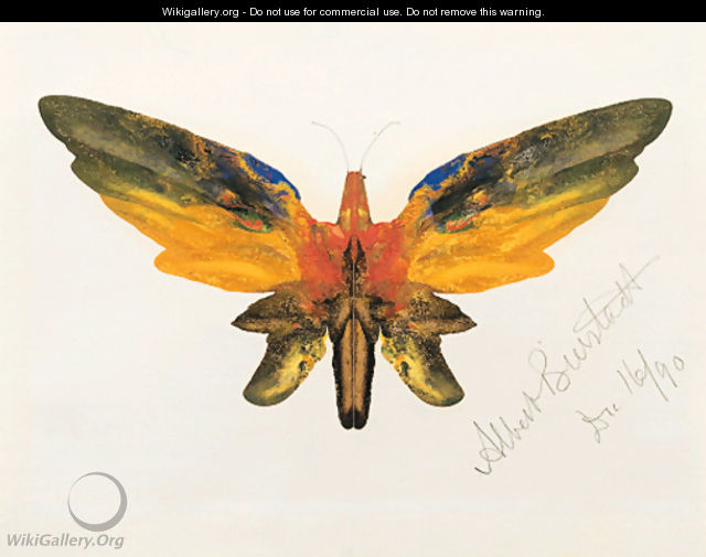 Butterfly 2 - Albert Bierstadt