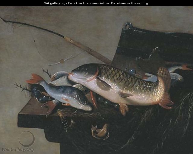 A carp - (after) Pieter Van Noort
