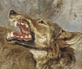 The head of a wolf a study - (after) Frans Snyders