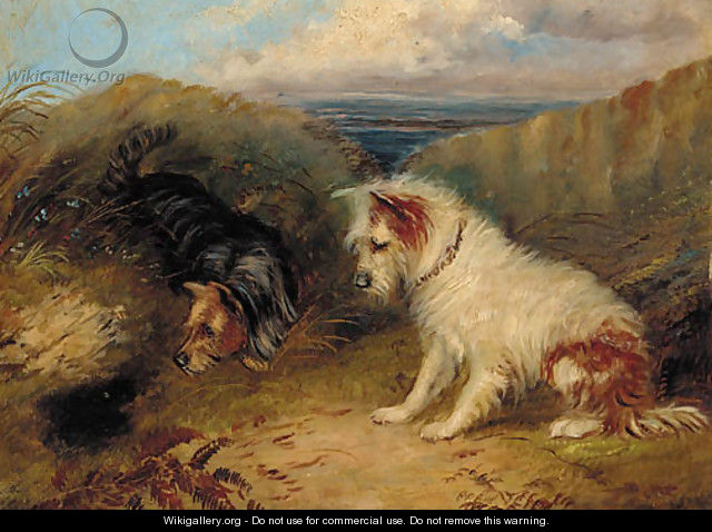 Terriers by a rabbit hole - (after) George Armfield