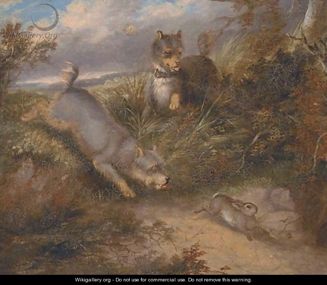 Terriers chasing a rabbit - (after) George Armfield