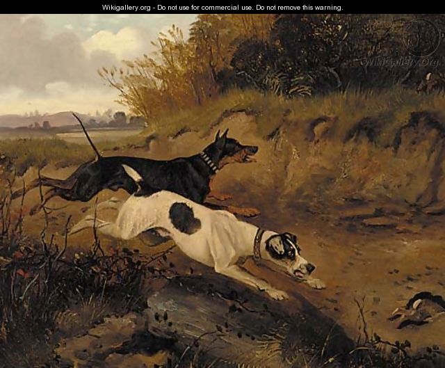 A doberman pinscher and a great dane chasing a rabbit - (after) George Armfield