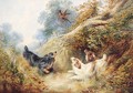 Spaniels flushing out a Pheasant - (after) George Armfield