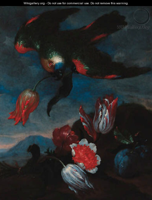 A carnation - (after) Bartolomeo Ligozzi