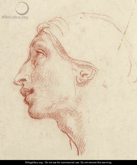 Head of a man in profile to the left - (after) Cesare Dandini