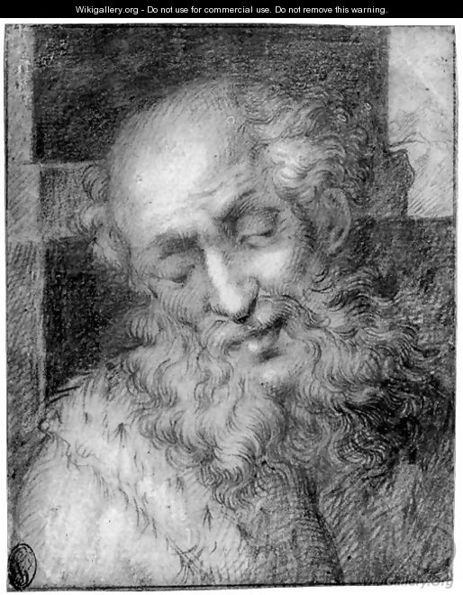 The head of a bearded old man - (after) Camillo Procaccini