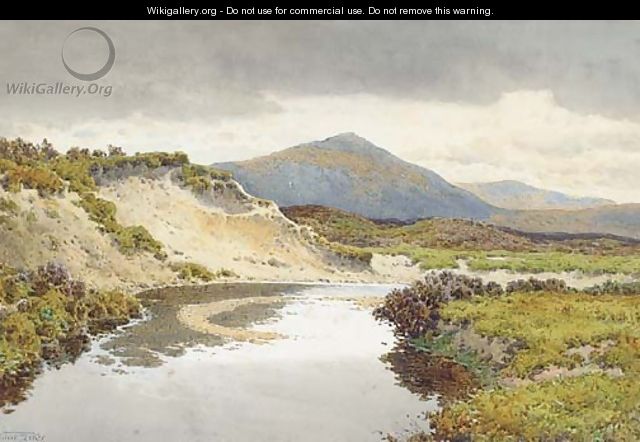 The River Taw, Dartmoor - Arthur Suker