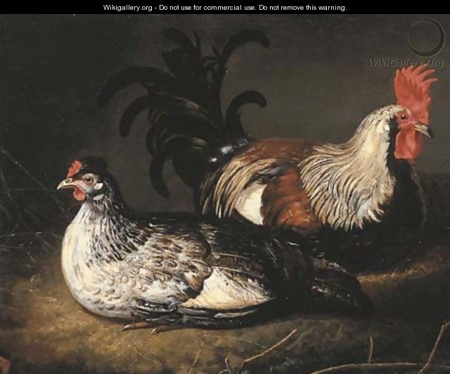 A cockerel and a hen - (after) Abraham Van Calraet