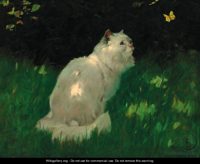 A white Persian cat look at a butterfly - Arthur Heyer
