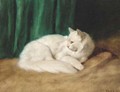 A white cat - Arthur Heyer