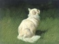 A Persian cat in a garden - Arthur Heyer