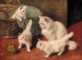 A family of cats at play - Arthur Heyer