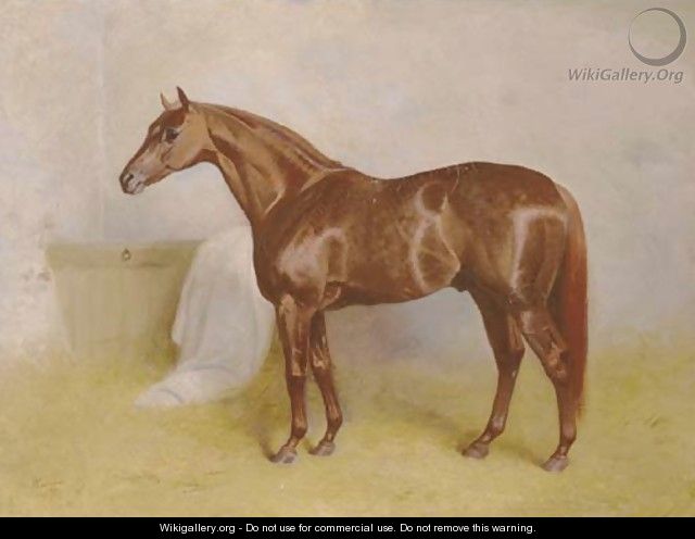 Charibert, a chestnut racehorse in a stable - Arthur Louis Townshend