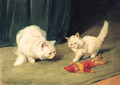 Two white Persians with a wooden Toy - Arthur Heyer