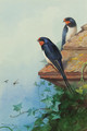 Swallows on an ivy-covered roof - Archibald Thorburn