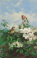 Goldfinches among apple blossom - Archibald Thorburn