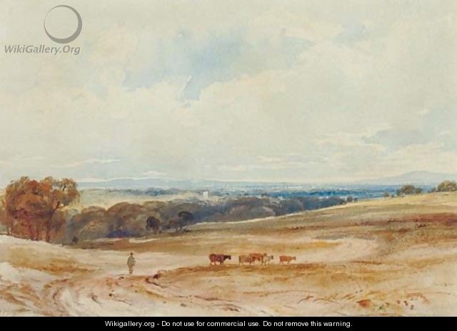 An extensive landscape with cattle and a drover - Anthony Vandyke Copley Fielding
