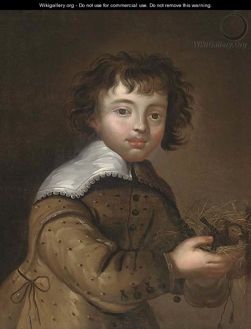 Portrait of a boy 2 - Anglo-Dutch School