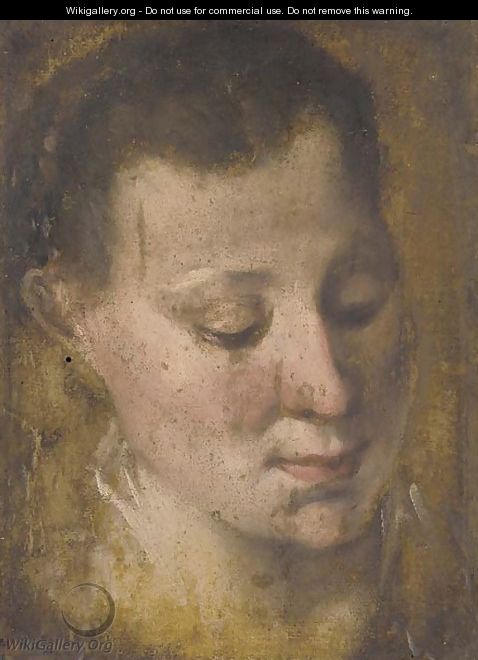 Head of a girl looking down to the right, her hair held in a plait - Annibale Carracci