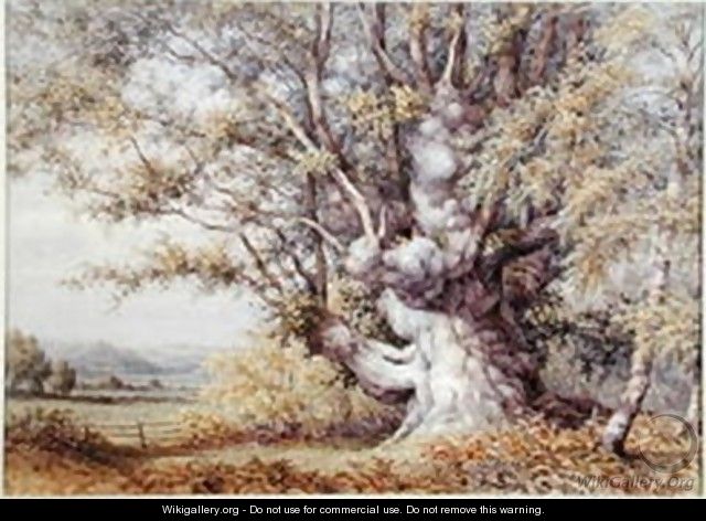 Squirrels in an Ancient Oak Tree - John Skinner Clifton