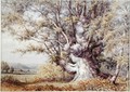 Squirrels in an Ancient Oak Tree - John Skinner Clifton