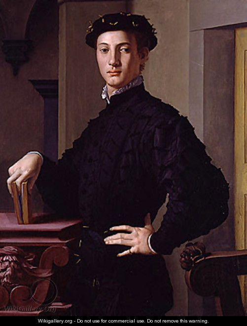 Portrait of a Young Man 1530 - Rosa Bonheur