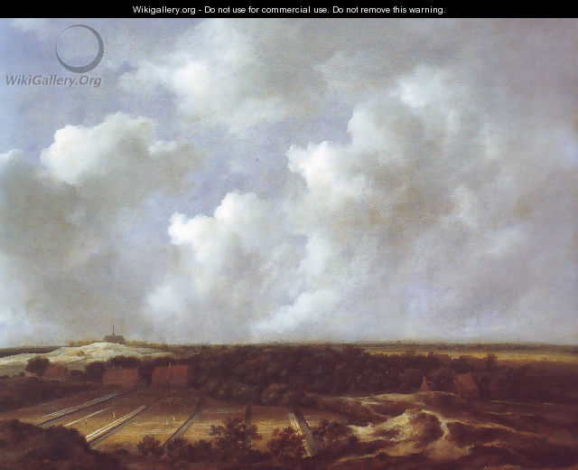 View of the dunes near bloemendaal with bleaching fields - Jacob Van Ruisdael