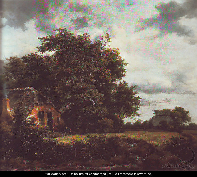 Cottage under trees near a grainfield - Jacob Van Ruisdael