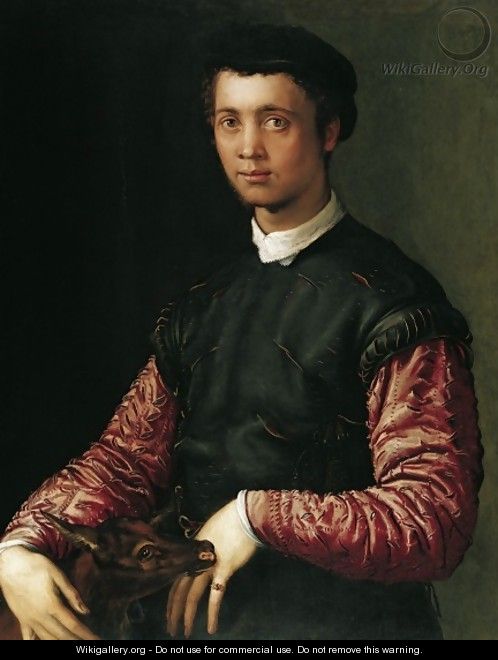 Portrait of a Young Man 1548 - Francesco de