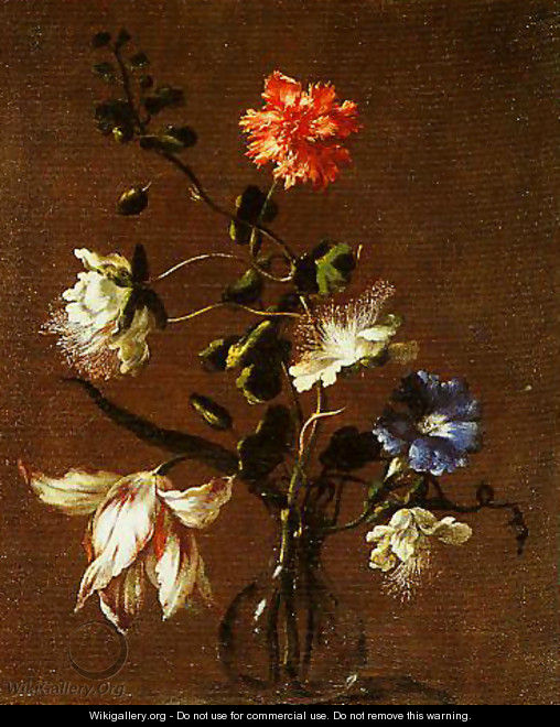 Three Caper Flowers a Carnation a Bindweed and a Tulip - dei Fiori (Nuzzi) Mario