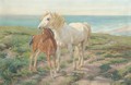 A mare and foal on a clifftop - (after) Henry William Banks Davis