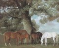 Mares and foals beneath a large oak tree - George Townley Stubbs