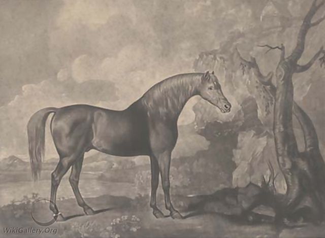 Brown horse mask, by George Townly Stubbs - George Stubbs