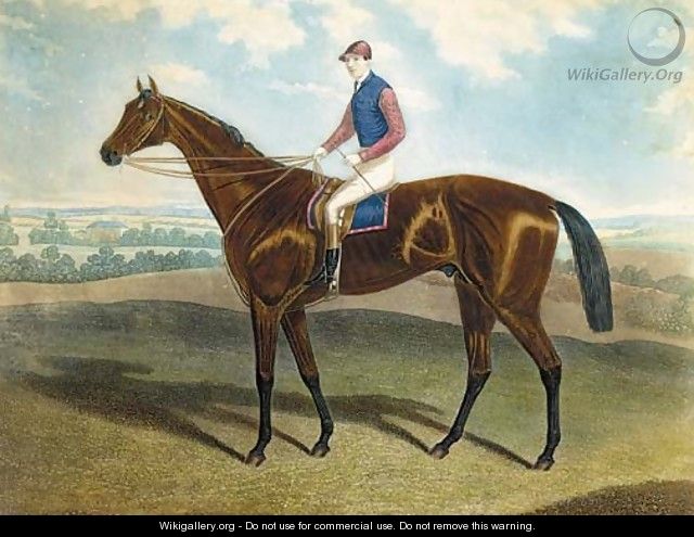 West Australian, winner of the Derby 1853, by C.N. Smith and H. Meyer - Alfred F. De Prades