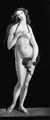 Venus - (after) Sandro Botticelli (Alessandro Filipepi)