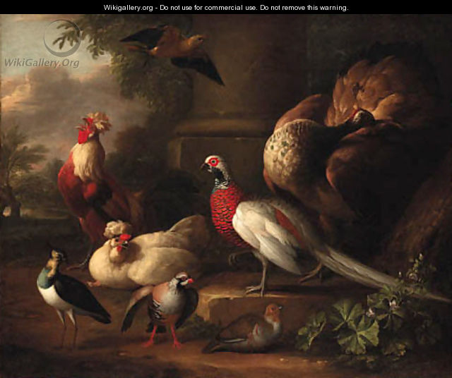 A peacock, a pheasant, a cockerel and other birds in a landscape - Aert Schouman