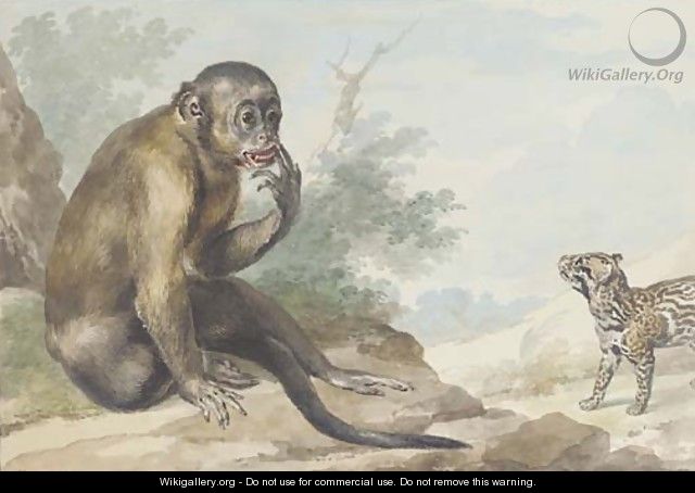 A monkey seated on a rock looking at a civet - Aert Schouman