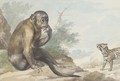 A monkey seated on a rock looking at a civet - Aert Schouman