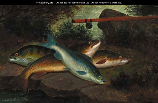A trout, grayling and a perch - A. Roland Knight