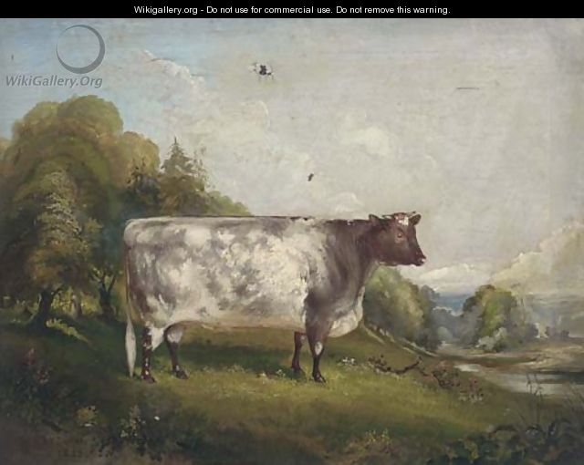 Princess, a prize bull in a landscape - Maxim Gauci