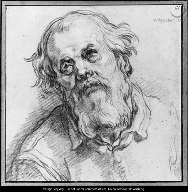 The Head of a bearded Man - Abraham Bloemaert