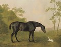A black hunter and a dog in a landscape - John Boultbee